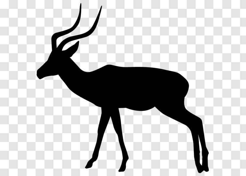 Gazelle Antelope Clip Art - Mammal Transparent PNG