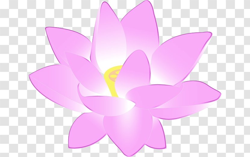 Pink Flower Cartoon - Wildflower - Crocus Transparent PNG
