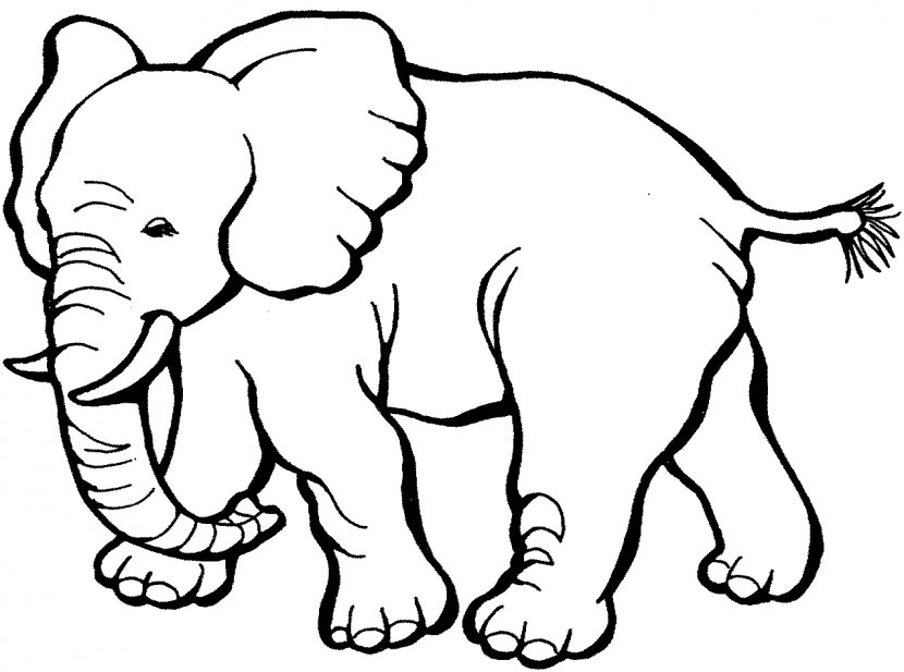 Coloring Book Elephant Child Page - Mandala - Cliparts Transparent PNG