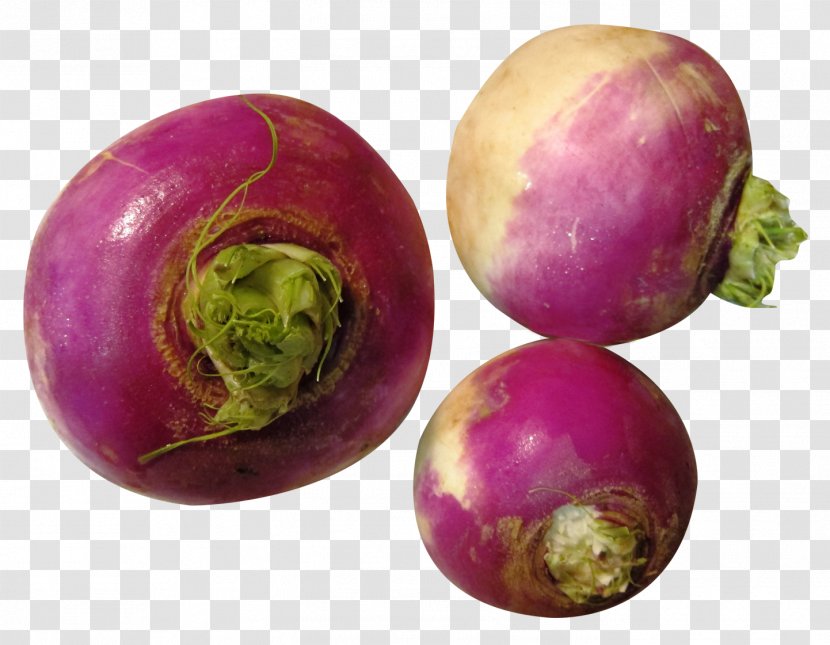 Shalgam Turnip Vegetable Filipino Cuisine Transparent PNG