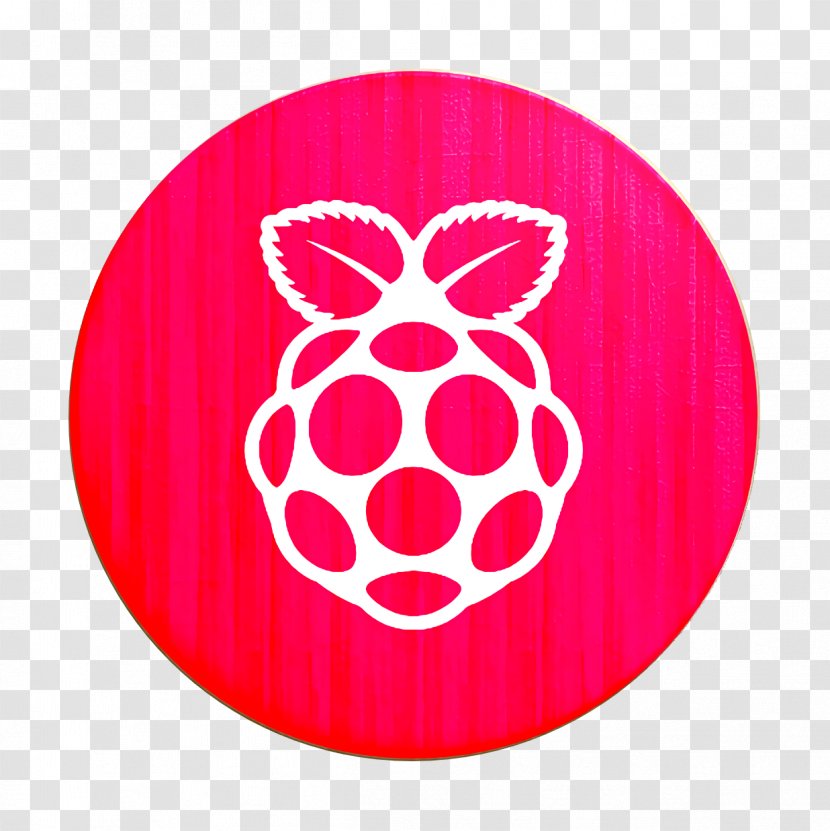 User Icon - Pi - Magenta Turtle Transparent PNG