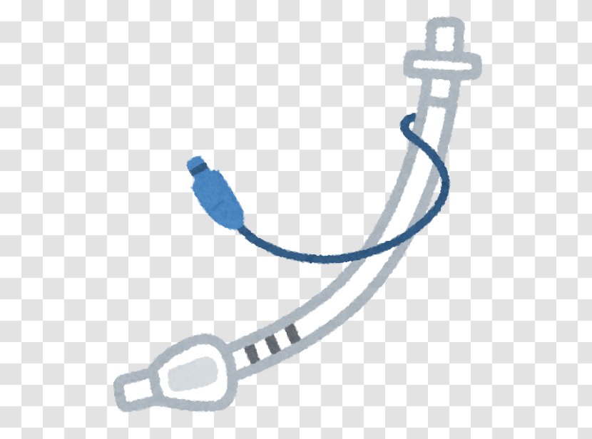Tracheal Tube Intubation Tracheotomy Airway Management - Esophagus - Breathing Transparent PNG