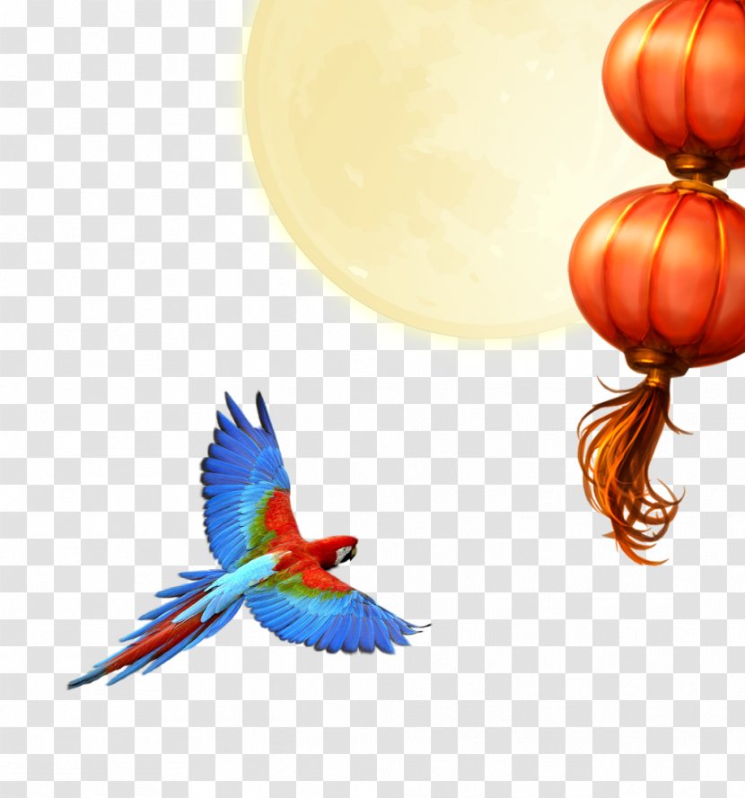 Parrot Download Clip Art - Beak - Peacock Flying South Transparent PNG