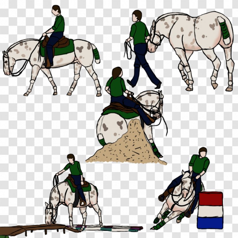 Horse Harnesses Pony Donkey Clip Art - Vertebrate Transparent PNG