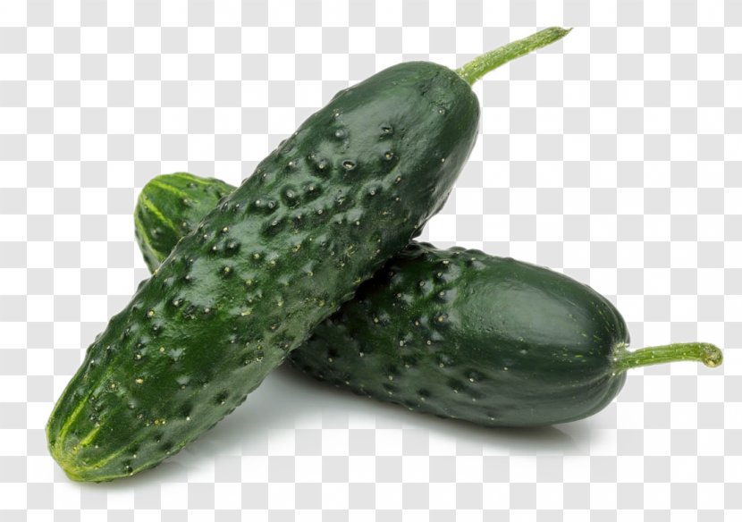 Spreewald Gherkins Slicing Cucumber Pickled Vegetable Food - Health - Slices And Transparent PNG