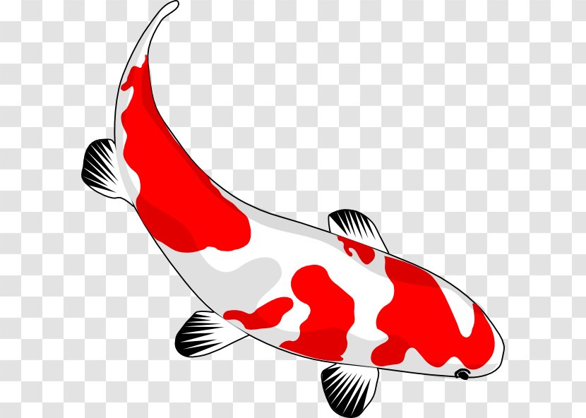Koi Carassius Auratus Drawing Clip Art - Cartoon Fish Transparent PNG