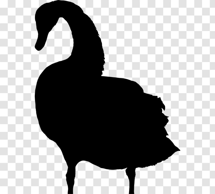 Bird Silhouette - Goose - Livestock Blackandwhite Transparent PNG