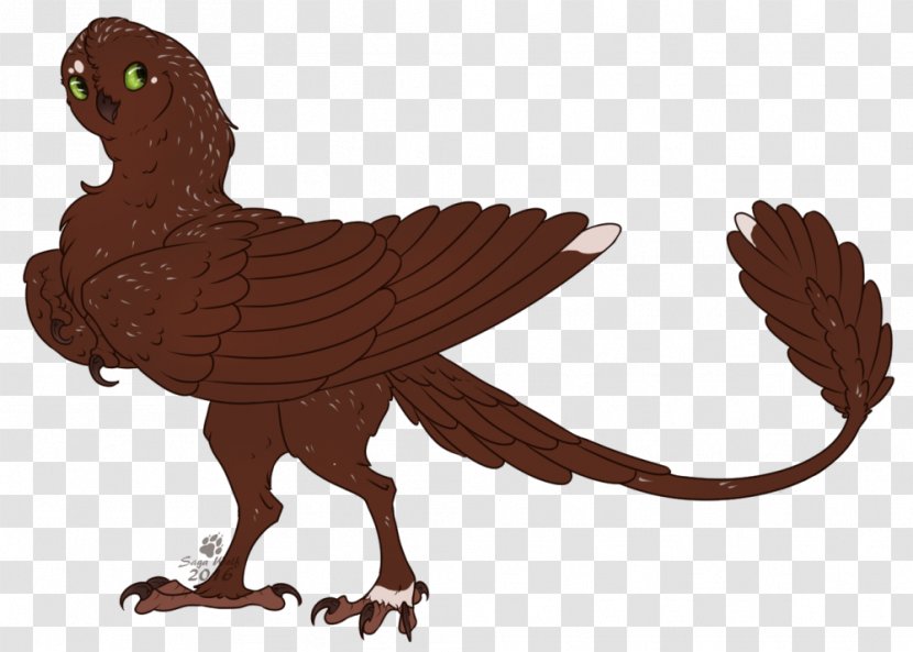 Bird Of Prey Beak Feather Cartoon - Fiction Transparent PNG