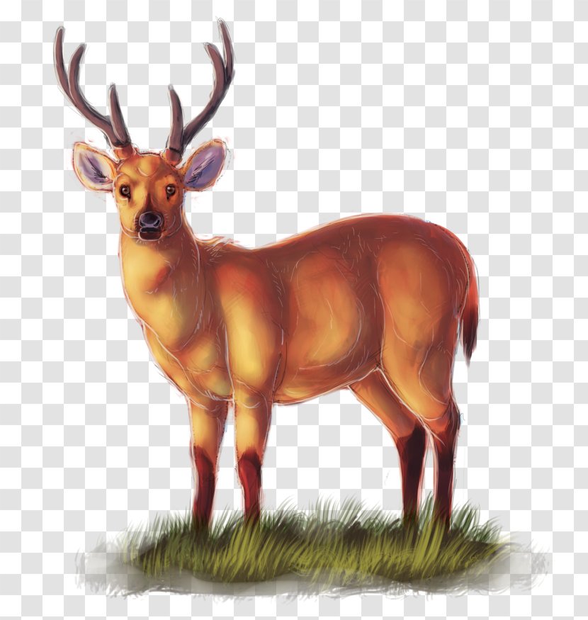 Reindeer Elk Antelope Cattle Horn - Deer - A Stumbled By Stone Transparent PNG
