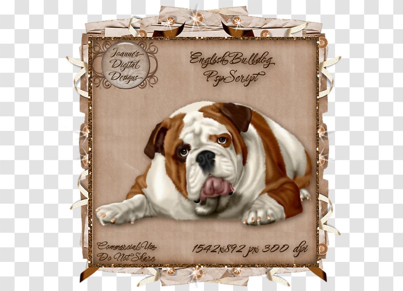 Bulldog Dog Breed Non-sporting Group Puppy Love - English Transparent PNG