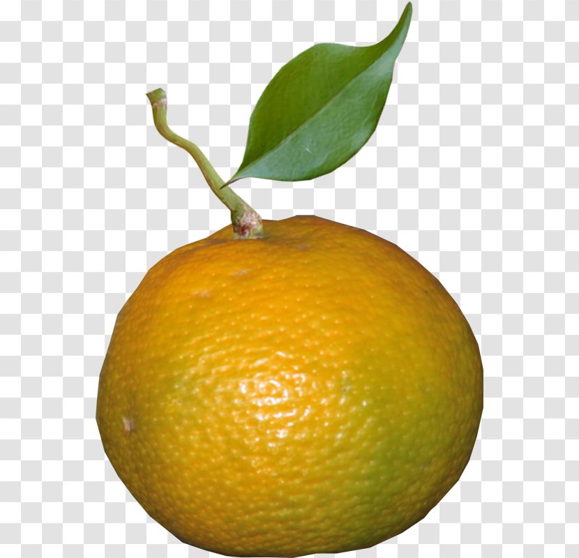 Clementine Mandarin Orange Lemon Tangerine Key Lime - Yuzu Transparent PNG
