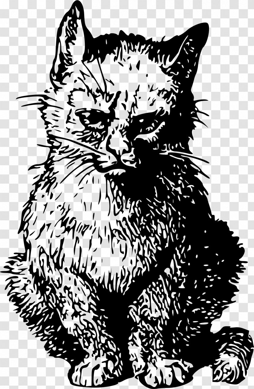 Kitten Whiskers Cat Clip Art - Meng Transparent PNG