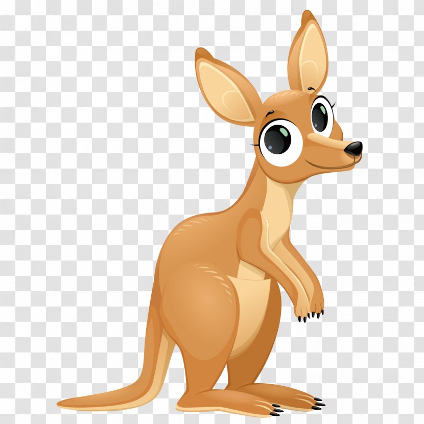 Kangaroo Cartoon Illustration - Vertebrate - Vector Small Transparent PNG