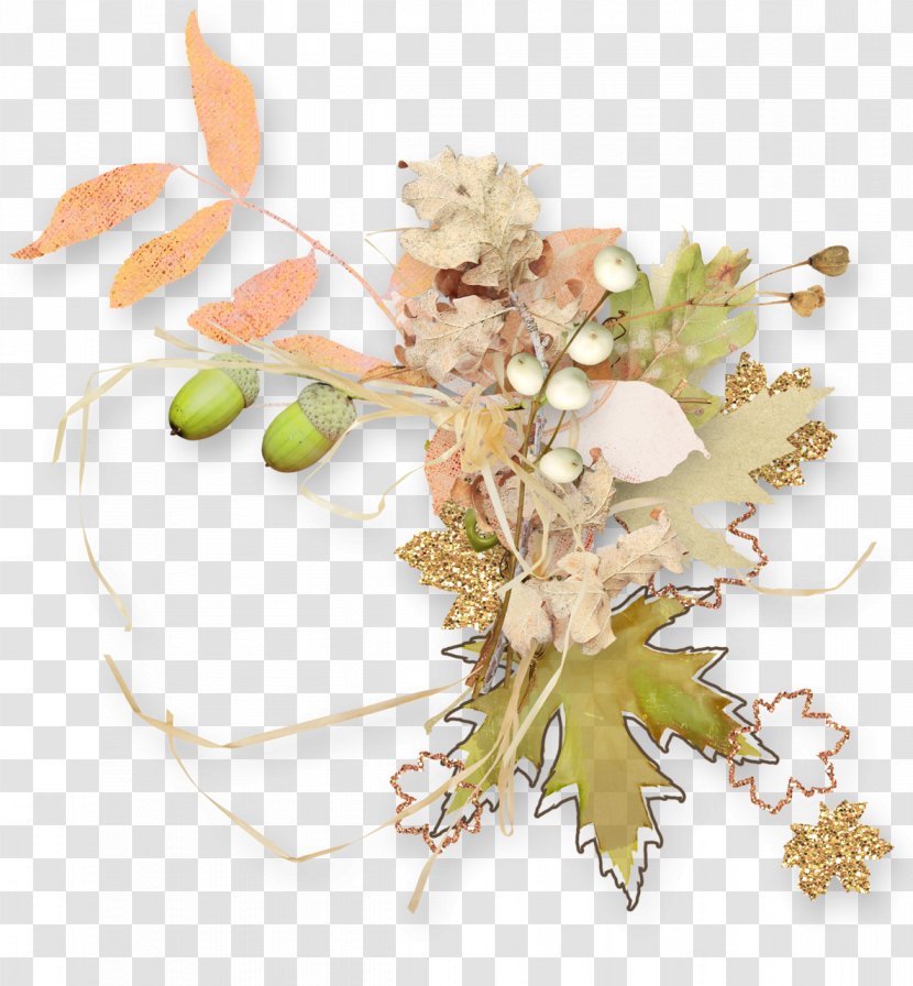 Image Autumn Design Blog - Plant Transparent PNG