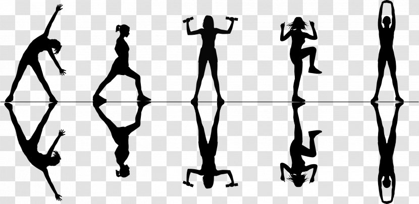 Human Leg Physical Fitness Muscle Silhouette - Line Art Transparent PNG