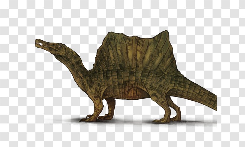 Tyrannosaurus Spinosaurus Dinosaur Velociraptor Lion - Transparency And Translucency Transparent PNG