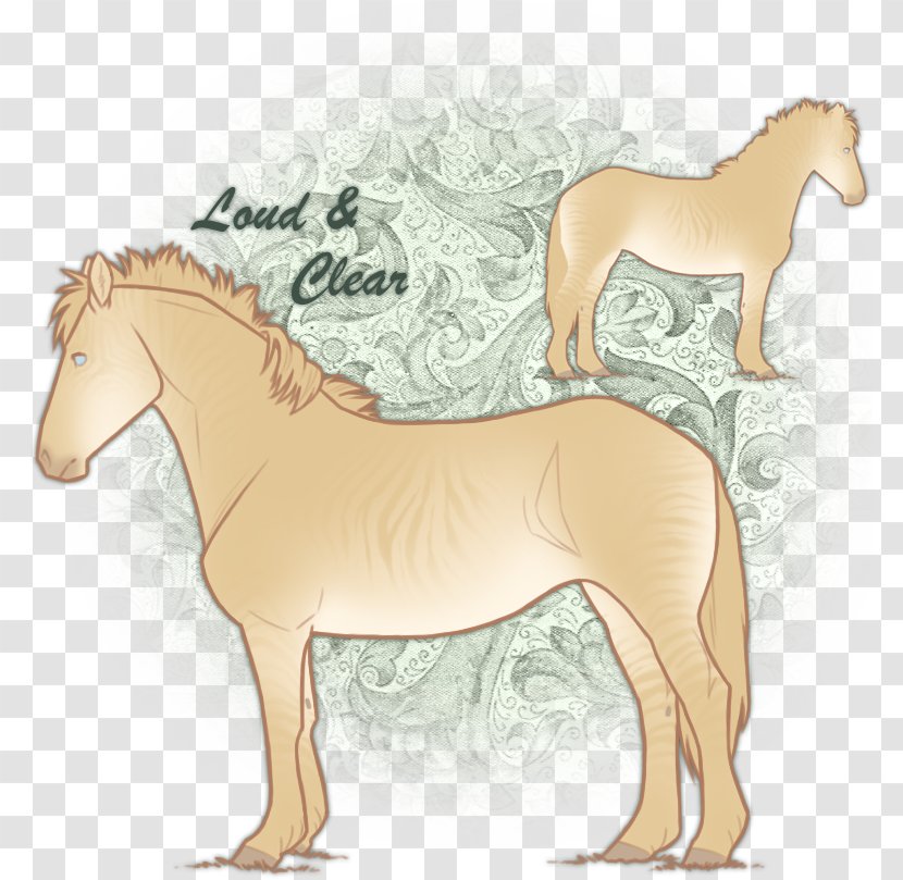 Foal Stallion Mustang Colt Mare - Horse Like Mammal Transparent PNG