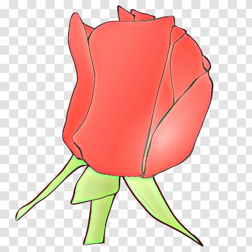 Rose - Red - Tulip Family Transparent PNG
