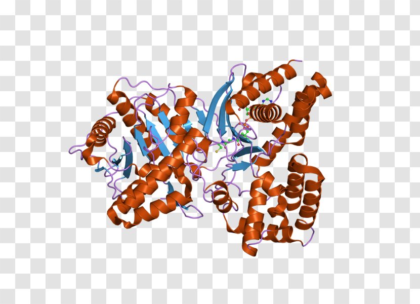 Choline Acetyltransferase Acetylcholine - Tree - Silhouette Transparent PNG