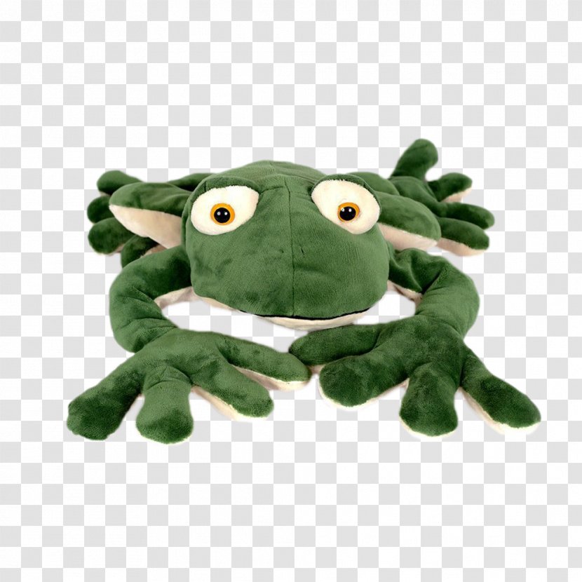 Stuffed Animals & Cuddly Toys Plush Doll Frog - Toy Transparent PNG