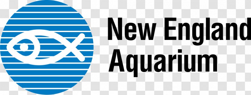 New England Aquarium Historic Giant Ocean Tank Harbor Seal Transparent PNG