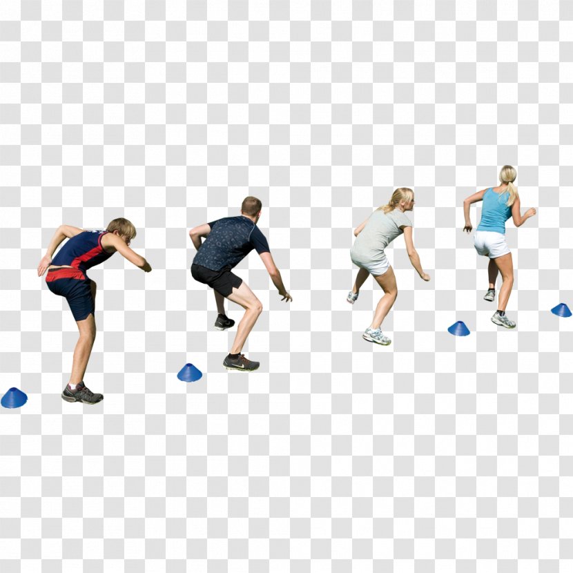 Medicine Balls Circuit Training Weight Physical Fitness - Sportswear Transparent PNG
