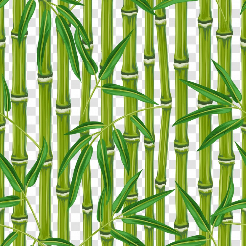 Download Bamboo Bamboe - Concepteur - Vector Free Transparent PNG