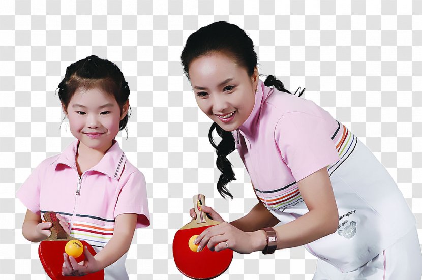 Table Tennis Ball Sport Badminton Serve - Tree - PingPong Teaching Transparent PNG