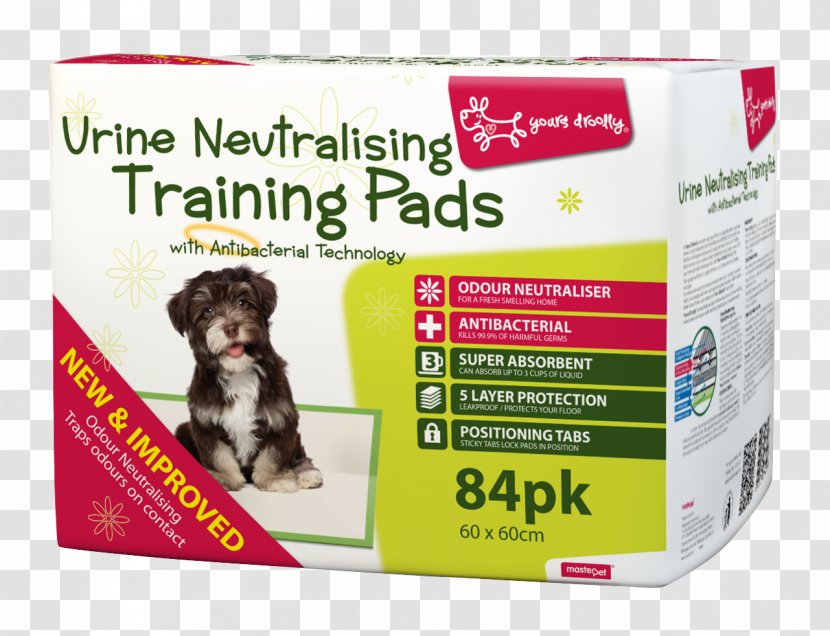 Puppy Dog Veterinarian Toilet Training Urine Transparent PNG