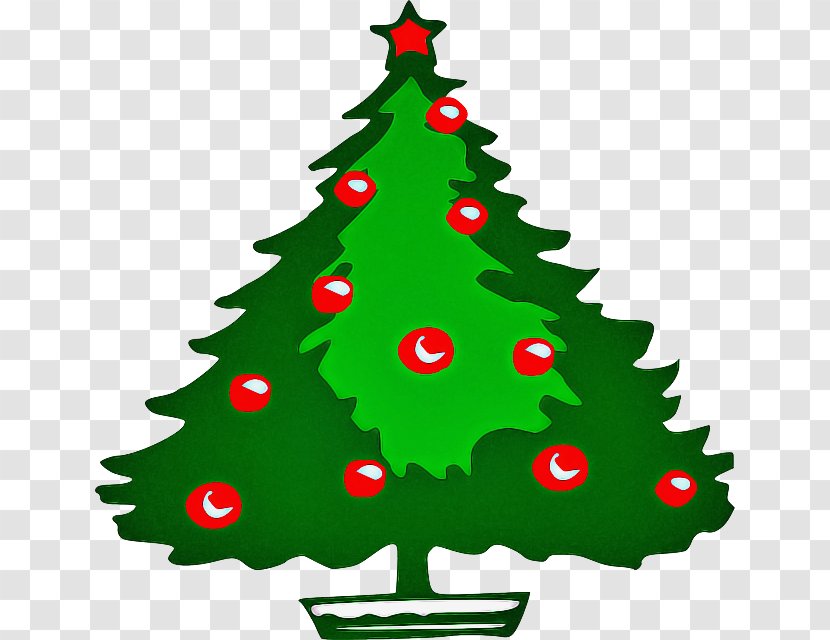 Christmas Tree - Eve Pine Transparent PNG