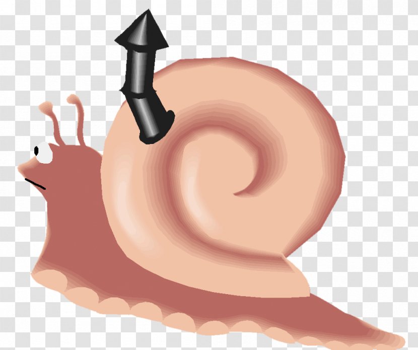 Snail Gastropods Gastropod Shell Blog Clip Art - Heart - Escargot Transparent PNG