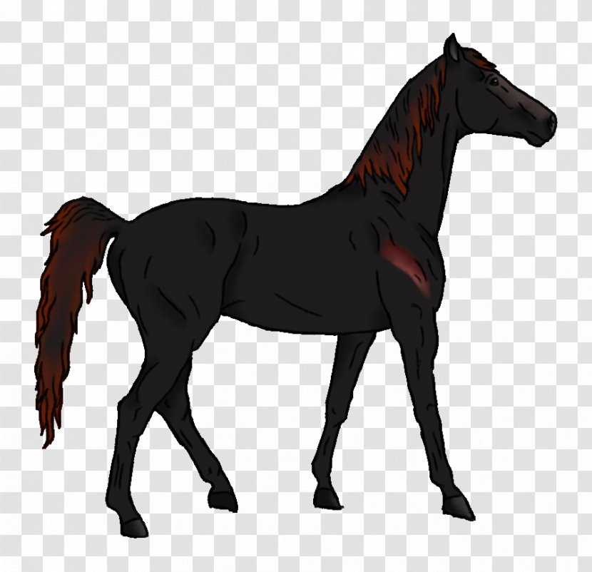 Mustang Pony Foal Stallion Colt - Rein - Dj Dimensional Characters Transparent PNG