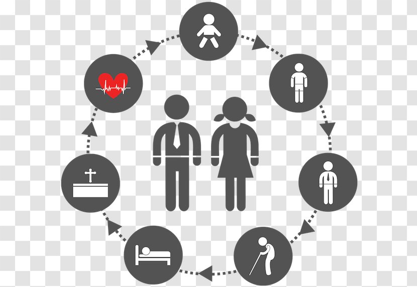 Biological Life Cycle Birth Death - Human Transparent PNG