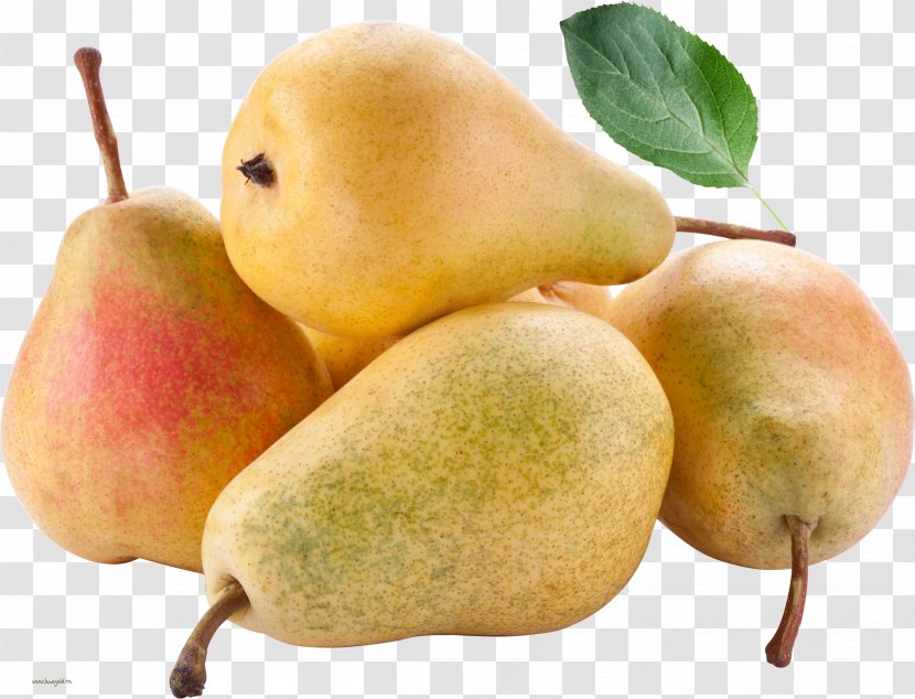 Pear Desktop Wallpaper 1080p IPhone 7 Laptop - Food - Beaver Transparent PNG