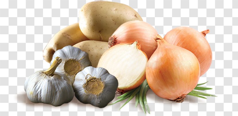 Onion Ring Vegetable - Root Vegetables Transparent PNG