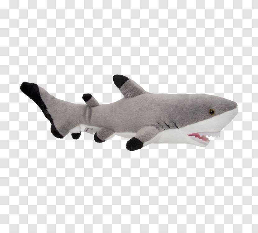 Shark Plush Stuffed Animals & Cuddly Toys Doll - Watercolor Transparent PNG
