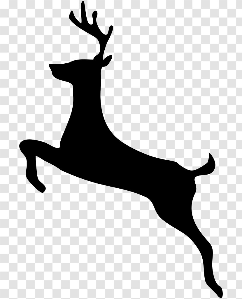 White-tailed Deer Moose Clip Art - Antler - Vector Transparent PNG