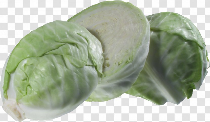 Cruciferous Vegetables Cabbage Roll Tursu Napa - Transparency And Translucency - Chinese Transparent PNG