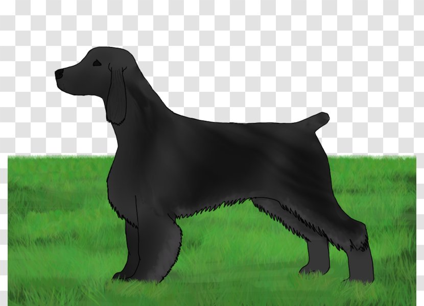 Flat-Coated Retriever Labrador Field Spaniel Dog Breed Hunting Transparent PNG