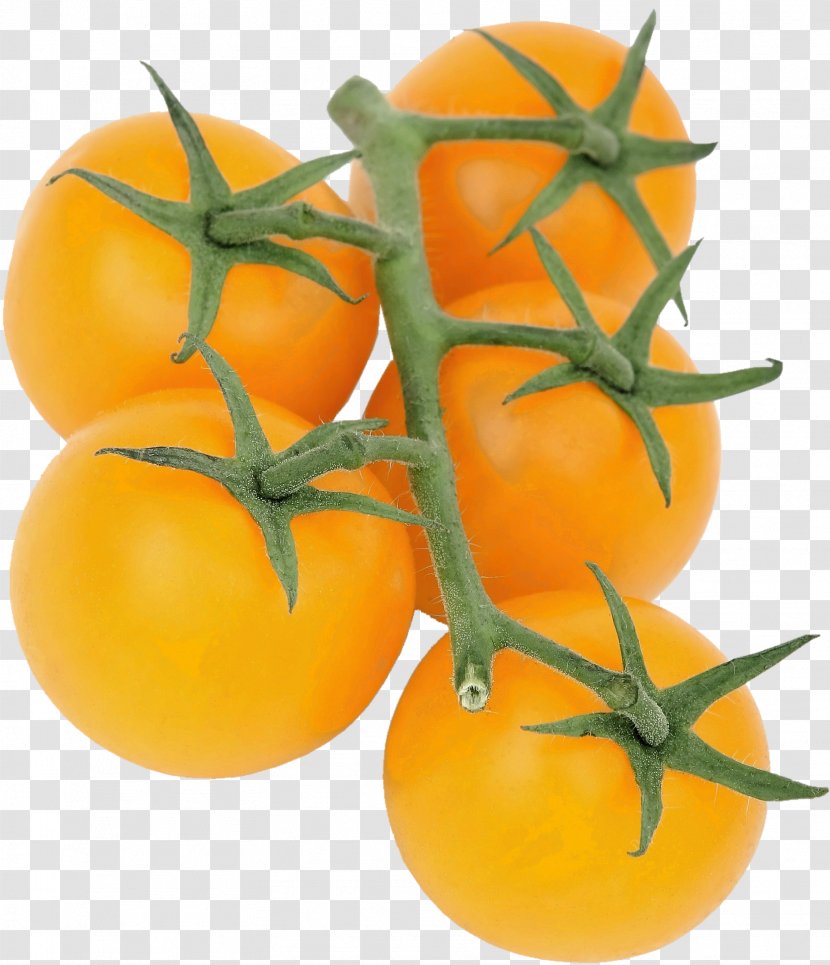 Cherry Tomato Organic Food Vegetable Fruit - Health - Fresh Persimmon Transparent PNG