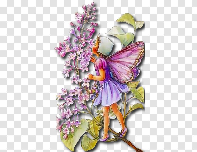 Fairy Wish Flower Fairies Elf Fantastic Art - Unicorn Transparent PNG