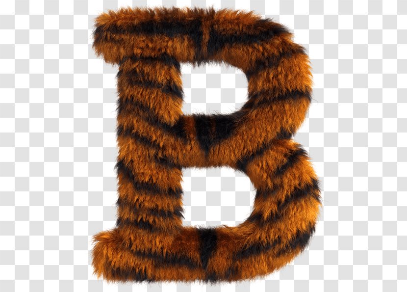 Tiger Fur Letter Roar Font - Clothing - Animal Letters Transparent PNG