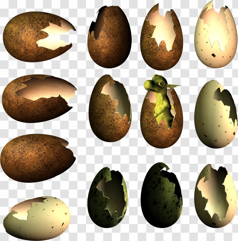 Egg Bird Nest Dinosaur - Depositfiles Transparent PNG