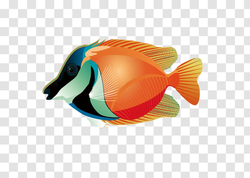 Tropical Fish - Seabed - Photos Transparent PNG