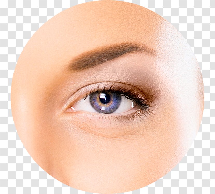 Lions Eye Institute Human Ophthalmology Anatomy - Frame Transparent PNG