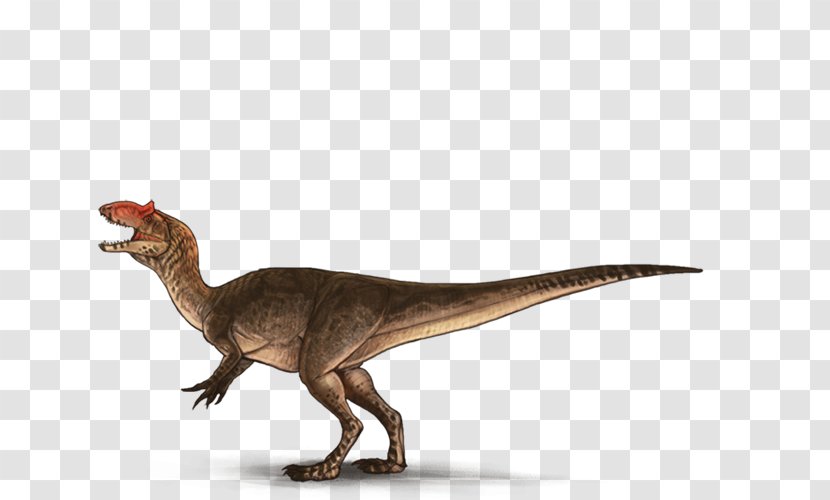 Tyrannosaurus Velociraptor Terrestrial Animal - Allosaurus Lucasi Transparent PNG
