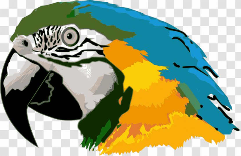 Parrot Bird Hyacinth Macaw Clip Art - Vertebrate Transparent PNG