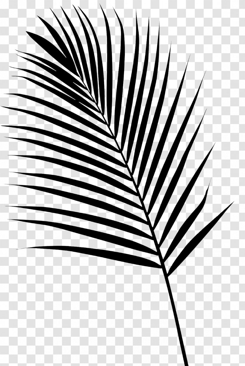 Palm Trees Font Line Leaf Grasses - Black M - Monochrome Transparent PNG