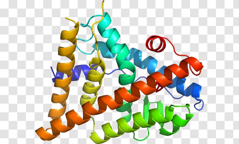 Organism Line Clip Art Transparent PNG