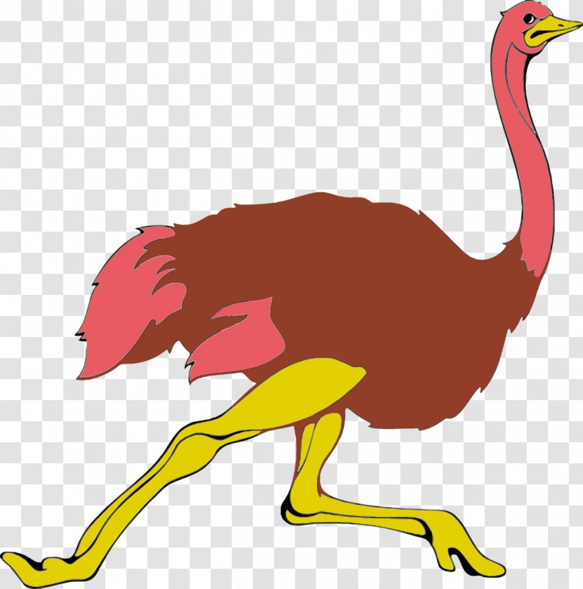 Common Ostrich Pixabay Clip Art - Free Content - Running Transparent PNG